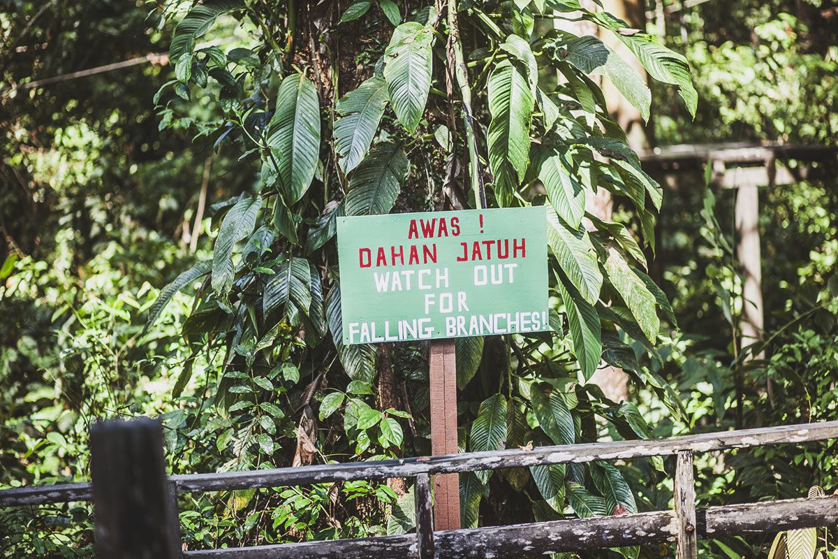 Sepilok Orangutan Rehabilitation Centre, Sabah Borneo