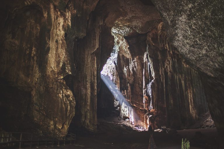 Gomantong Caves – ett värdefullt grottsystem i Gomantong Hill