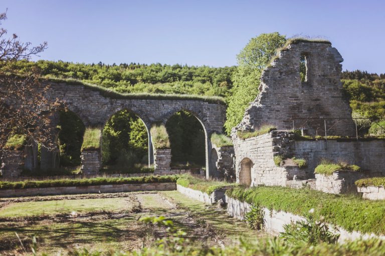 Alvastra Klosterruin – ett minne av medeltiden