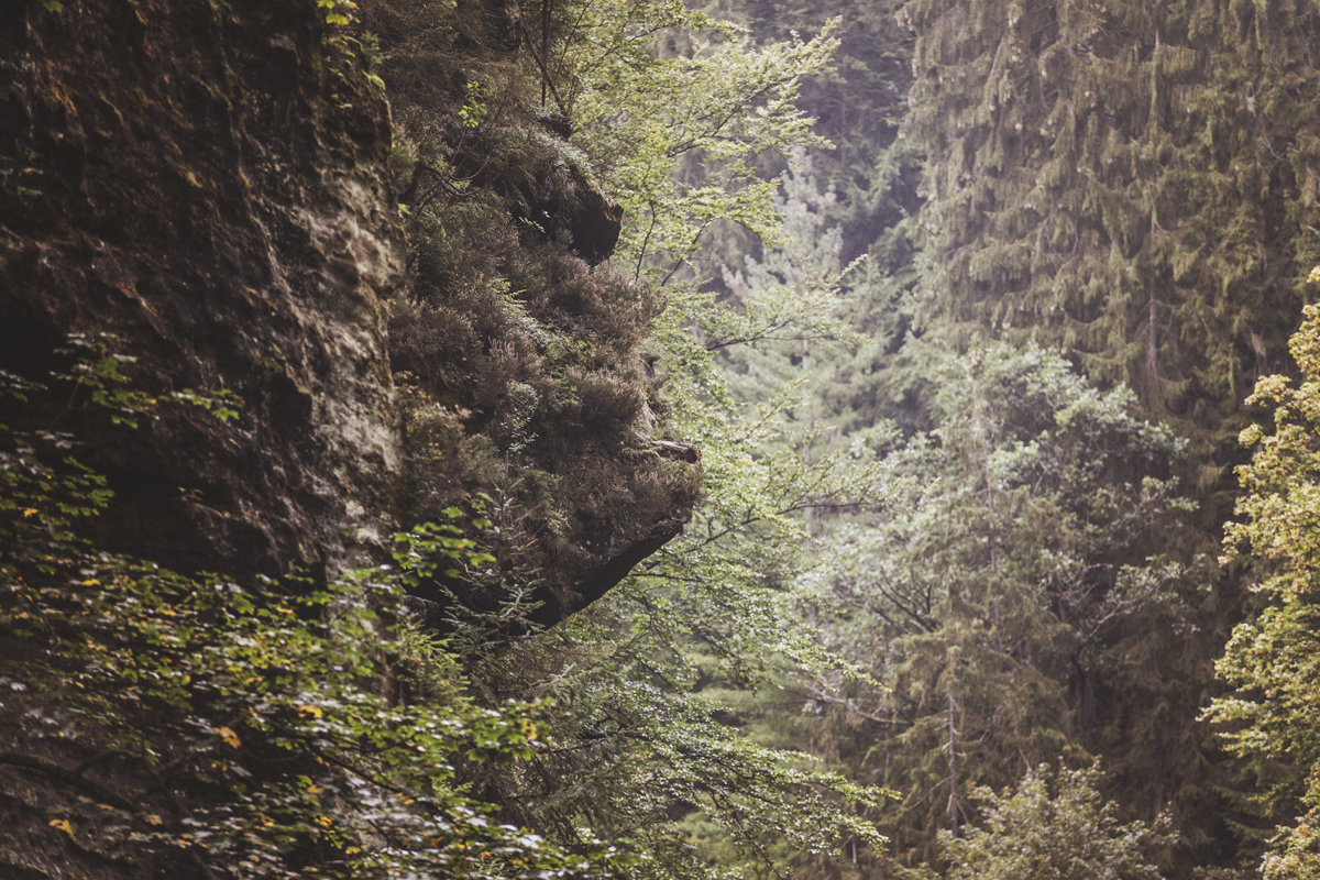 Edmund's Gorge, Bohemian Switzerland Tjeckien