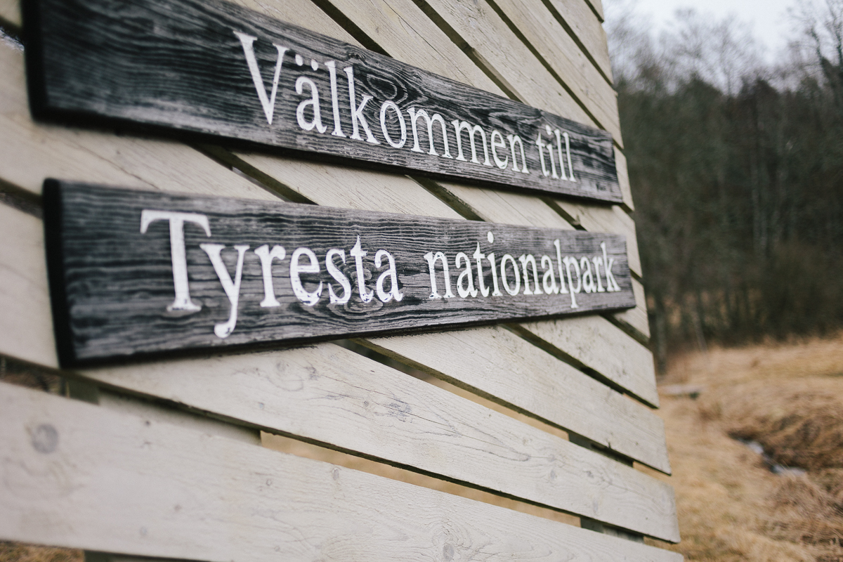 tyresta-nationalpark-stockholm-10