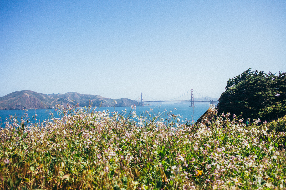 8 saker att göra i San Francisco