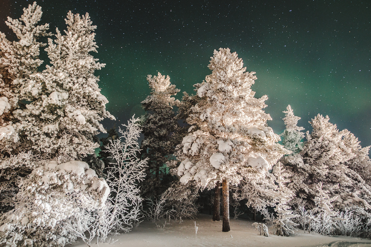 God jul från Mertajärvi