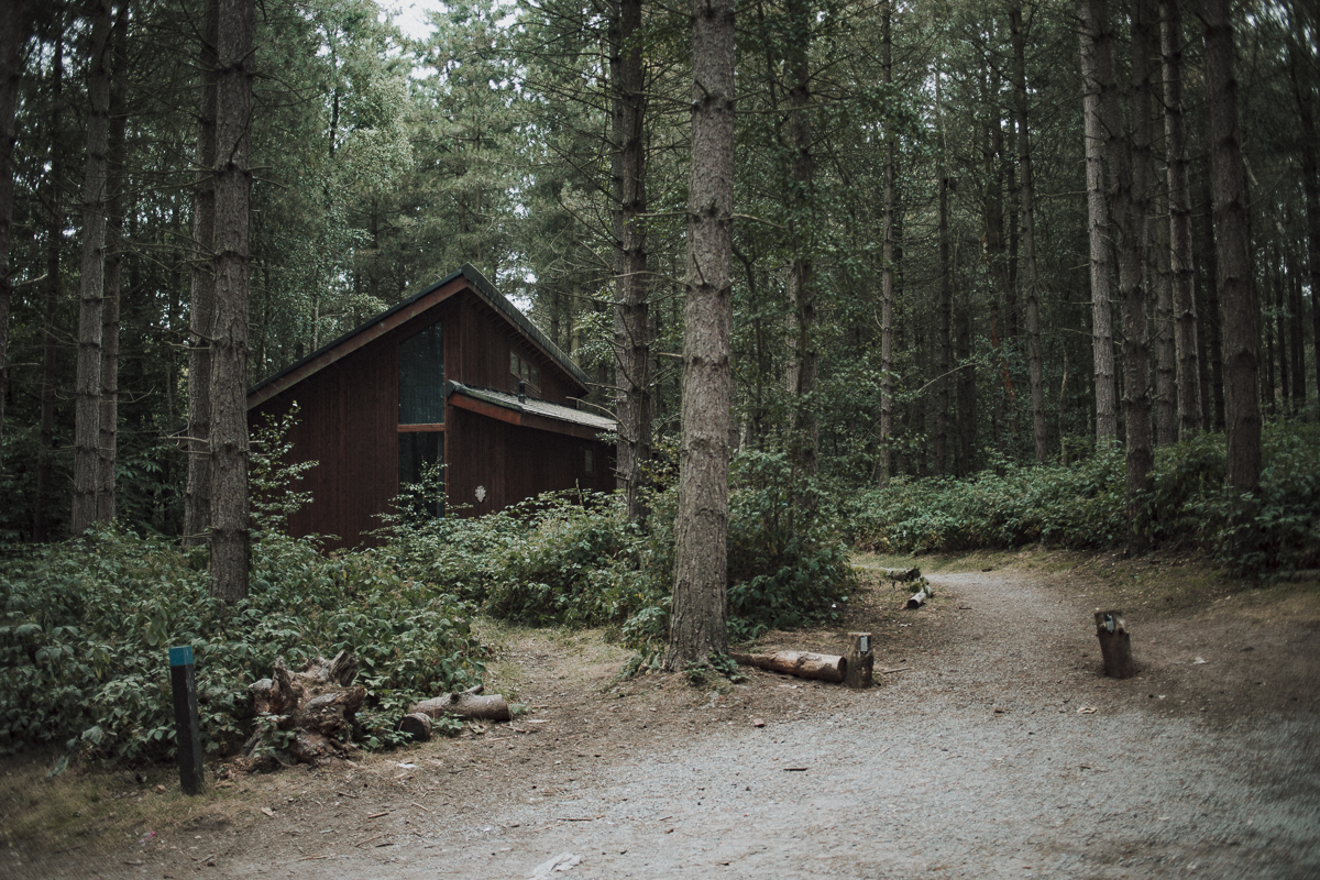 Checka in: Bli ett med naturen djupt inne i Sherwoodskogen - hyr en stuga hos Forest Holidays