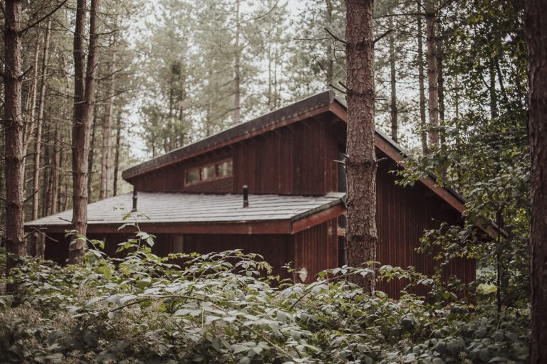 Checka in: Bli ett med naturen djupt inne i Sherwoodskogen – hyr en stuga hos Forest Holidays