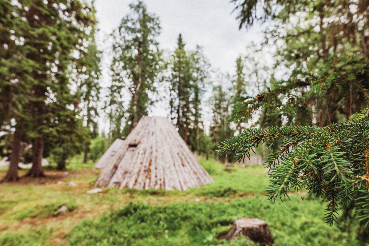 Ankarede Vildmarksvägen Jämtland