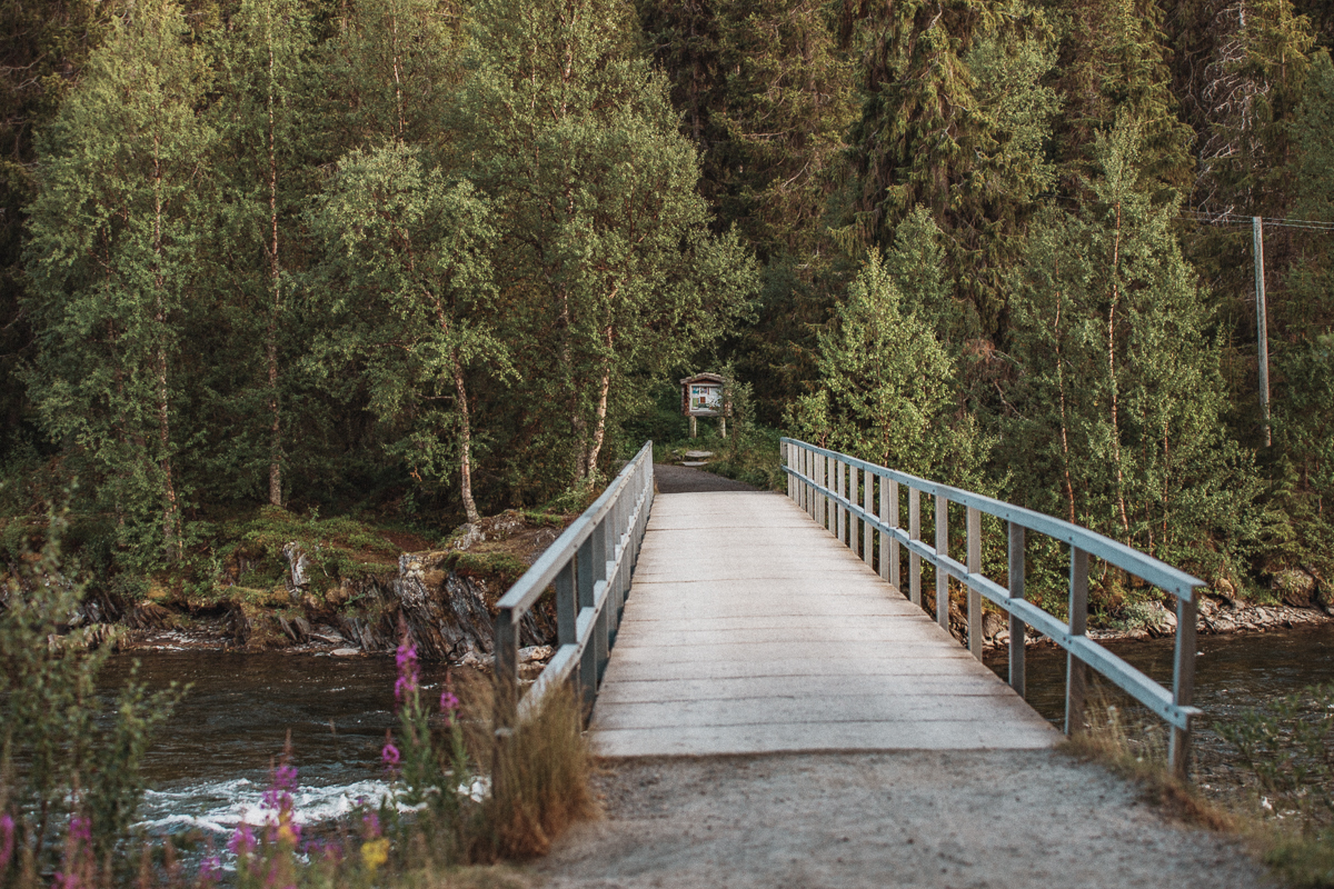 Fatmomakke kyrkstad - Vildmarksvägen