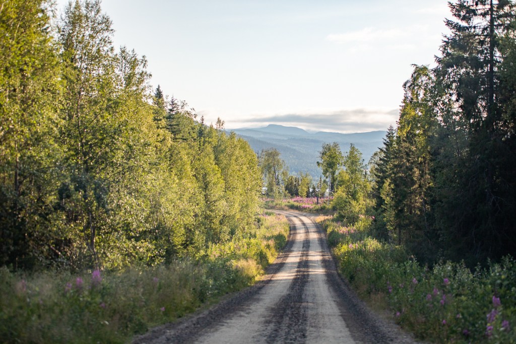 Hällingsåfallet Vildmarksvägen Jämtland