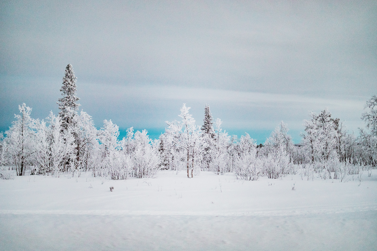 Winter in Kiruna // 