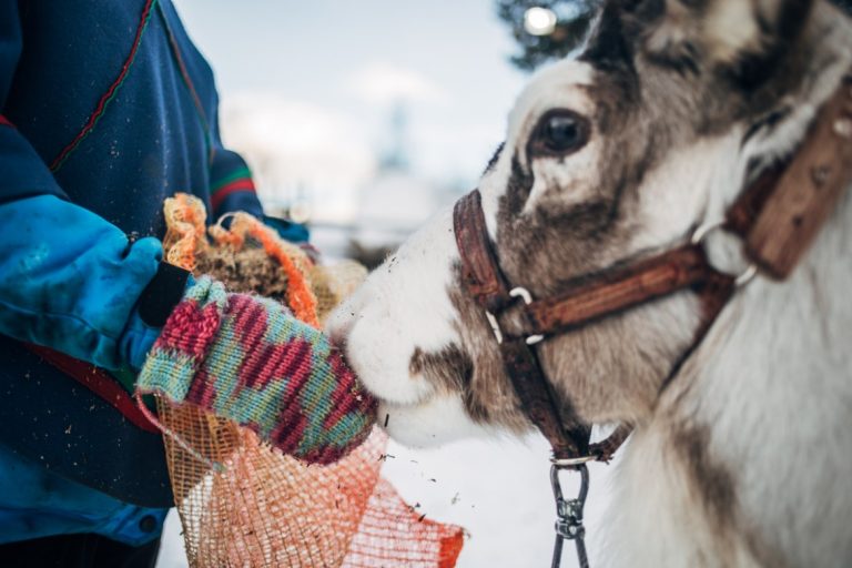 Vinter i Kiruna - tips på upplevelser och aktiviteter