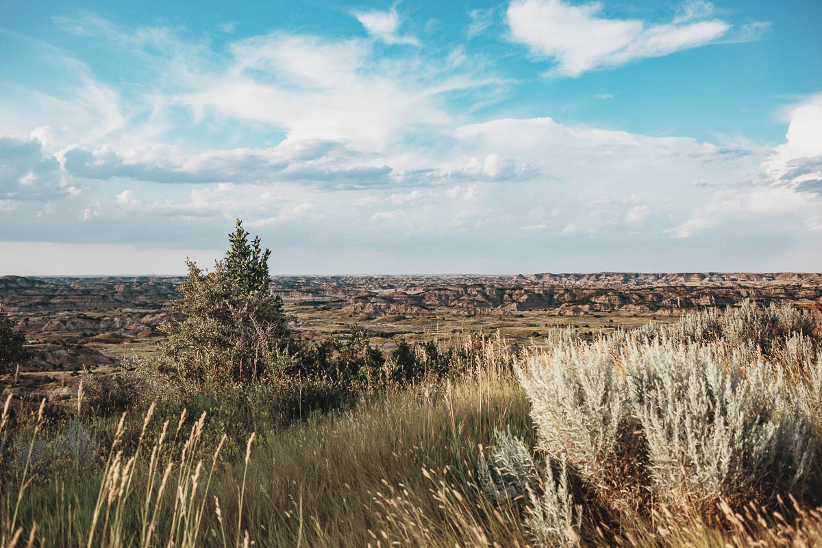 Theodore Roosevelt National Park