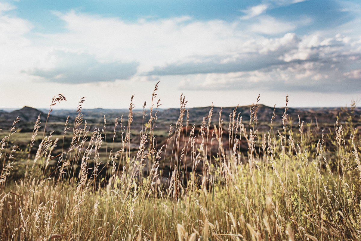 Painted Canyon Overlook Theodore Roosevelt National Park North