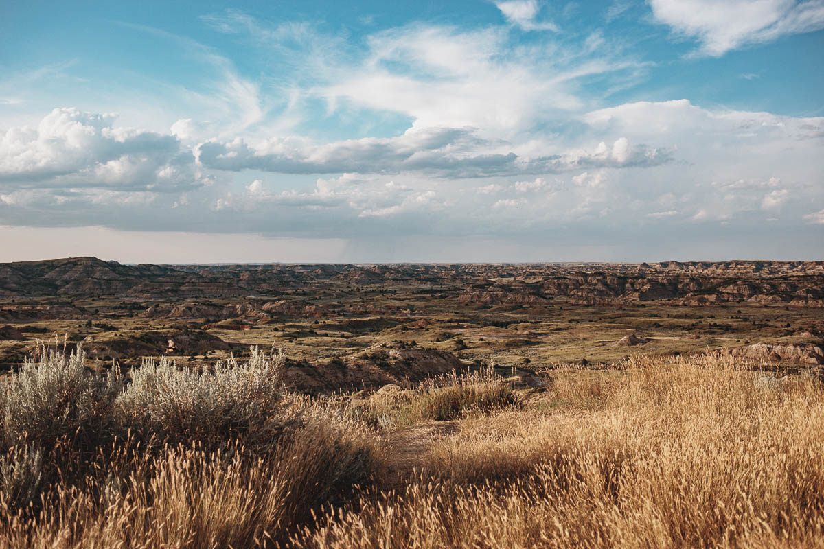 Theodore Roosevelt National Park 