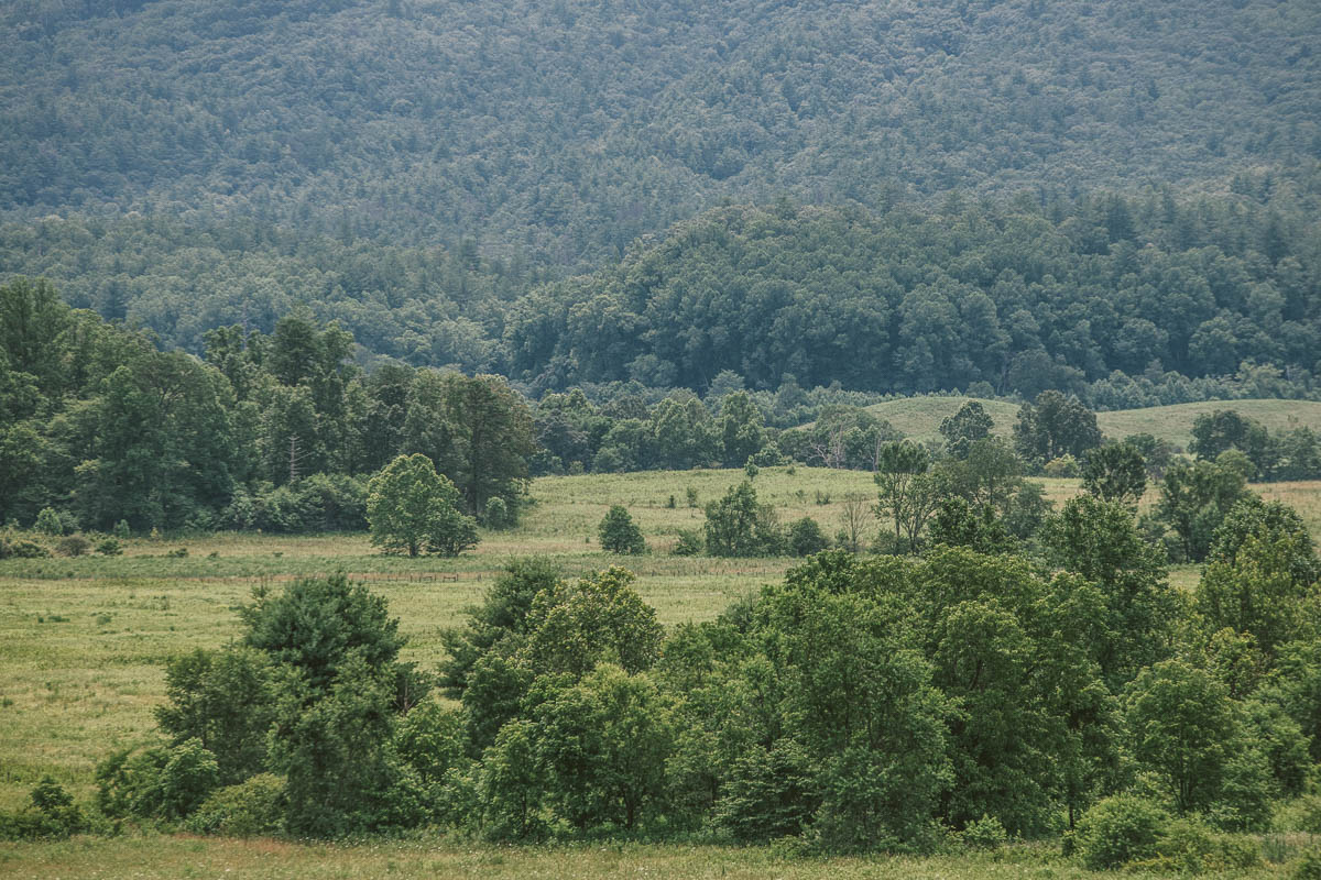 Det är gratis att besöka Great Smoky Mountains National Park i Tennessee