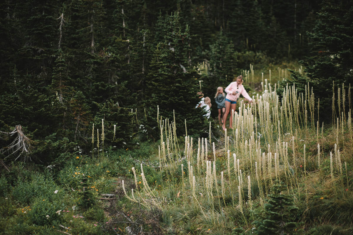 Lunch Creek Hill Glacier National Park Montana | Going-to-the-Sun Road