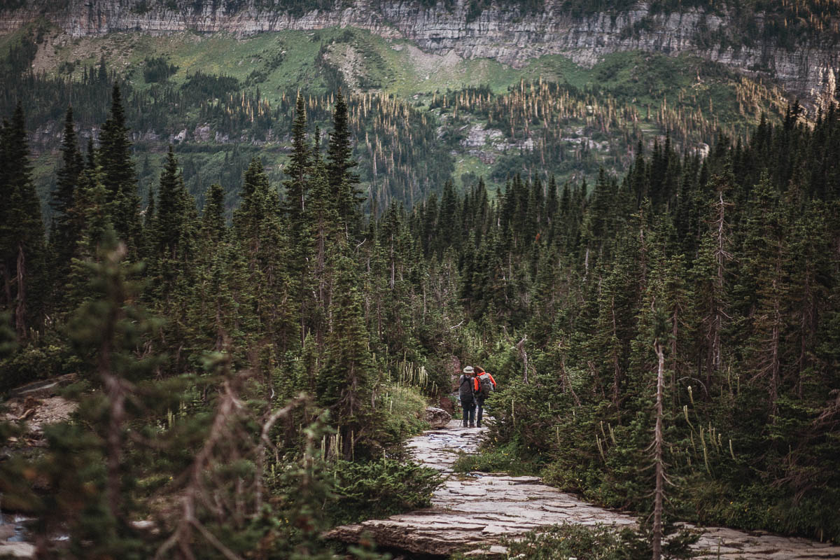 Lunch Creek Hill Glacier National Park Montana | Going-to-the-Sun Road