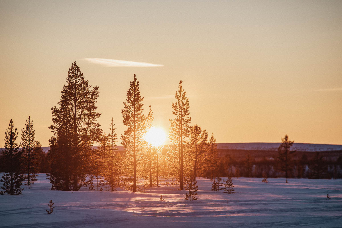 Vårvinter i Lappland | Sverige