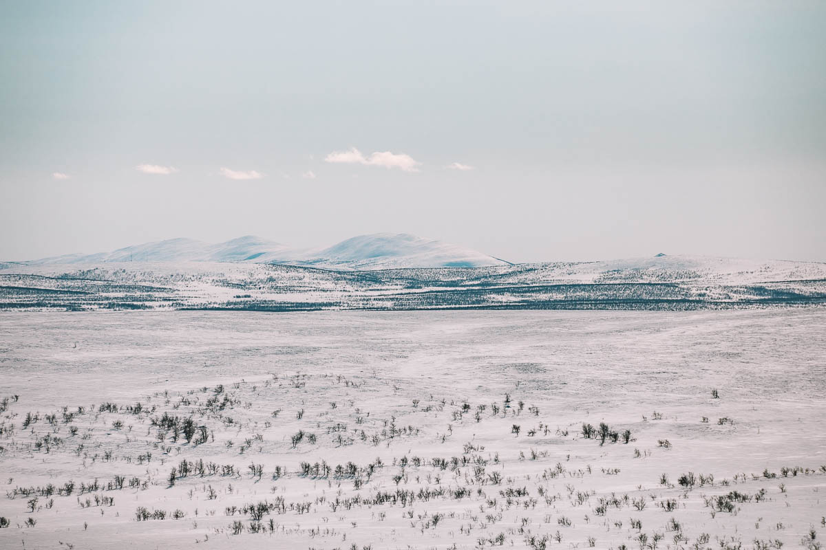 Vårvinter i Lappland | Sverige