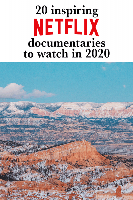 netflix documentaries 2020