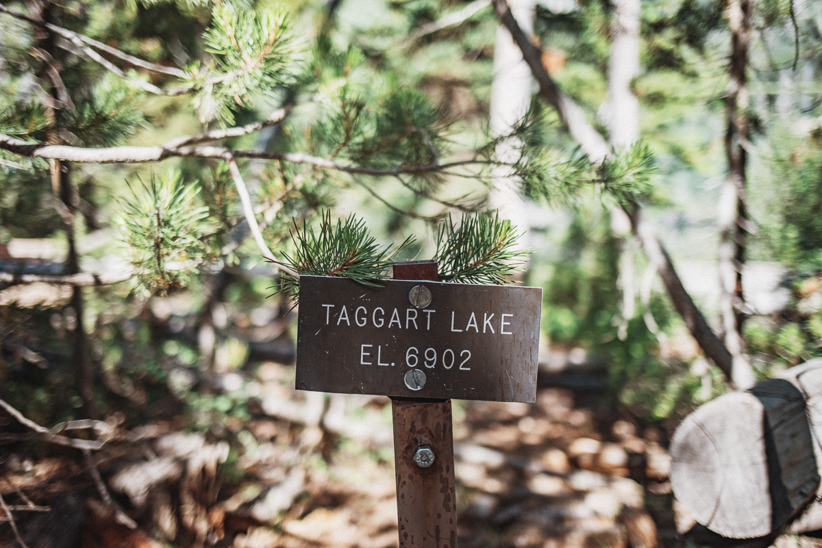 Vandring till Taggart Lake i Grand Teton NP - Wyoming