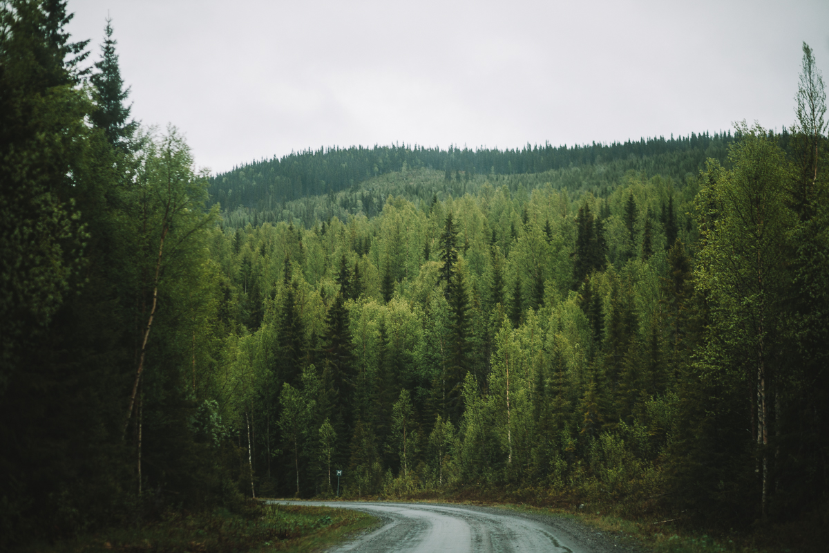 Björnvägen Sverige