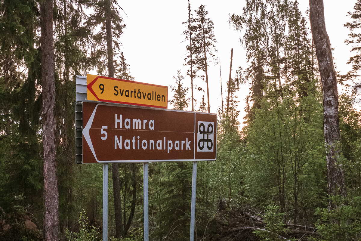 Hamra nationalpark i Dalarna