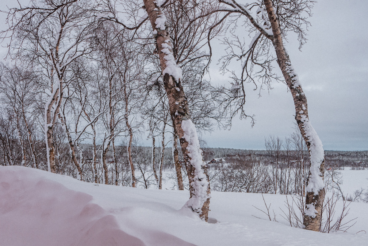 Mertajärvi, Lappland, Norrbotten