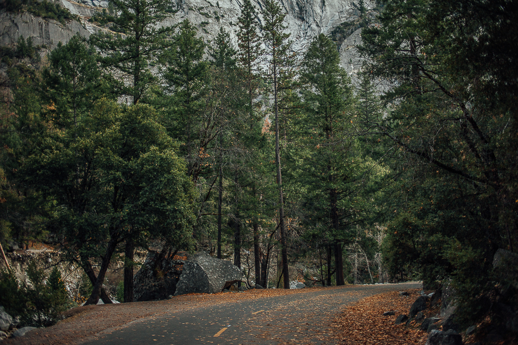 Mirror Lake Yosemite Valley