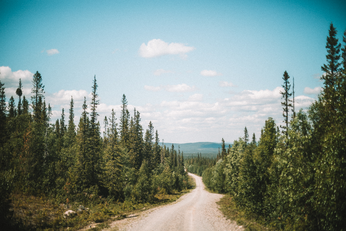 Vackra vägar att köra under sommarens roadtrip i Sverige