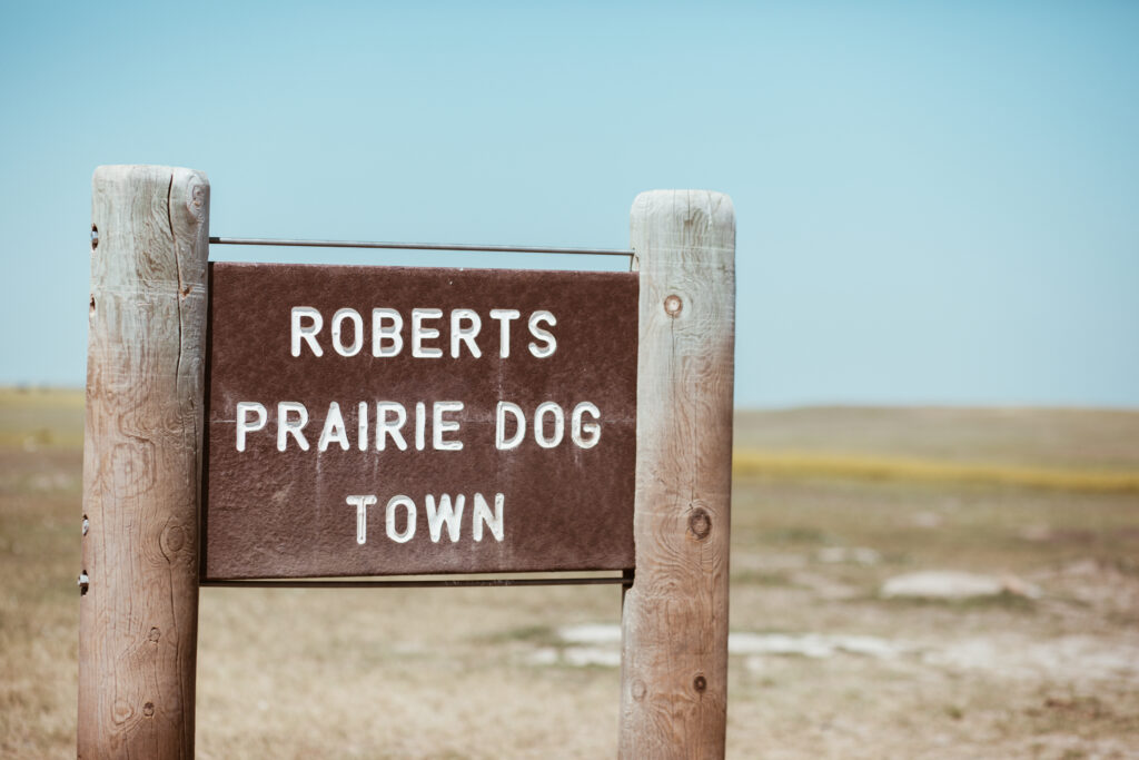 Robert's Prairie Dog Town i Badlands National Park, South Dakota