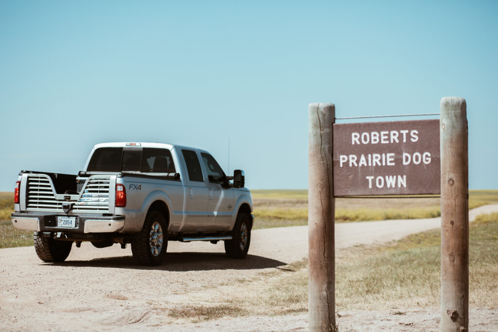 Robert's Prairie Dog Town