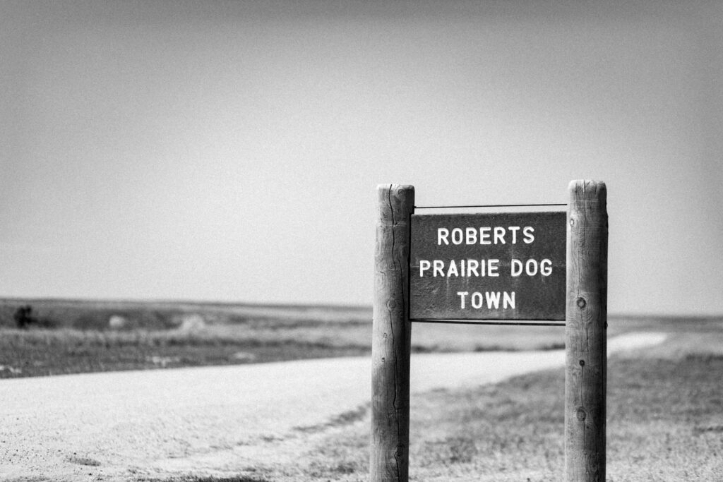 Robert's Prairie Dog Town i Badlands National Park, South Dakota