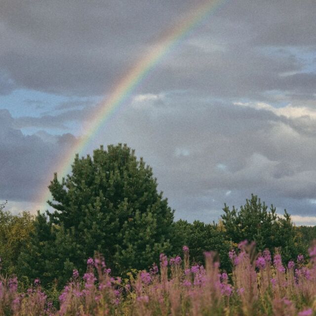 Efter några droppar regn kommer regnbågen fram.